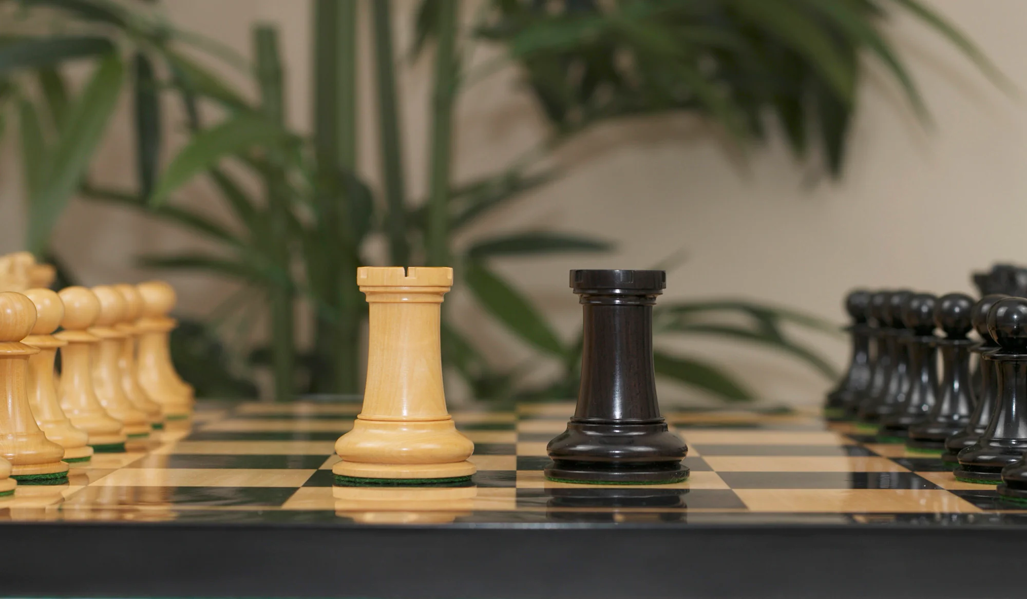 Thumbnail 22